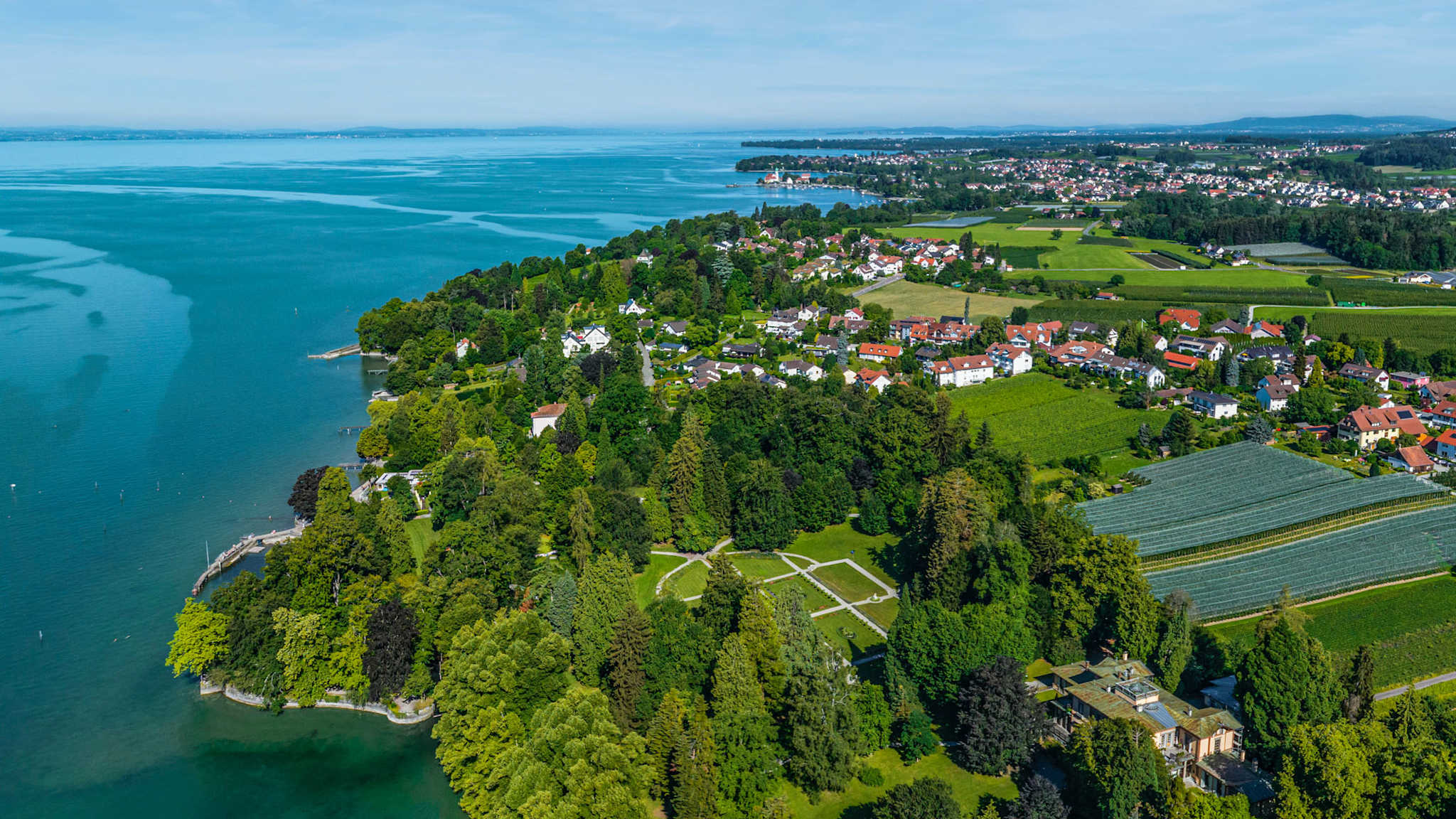 Panoramafoto aus der Luft mit Uferlandschaft, Bäumen, Weinbergen und Häusern am Bodensee, Blick bis zu den Alpen